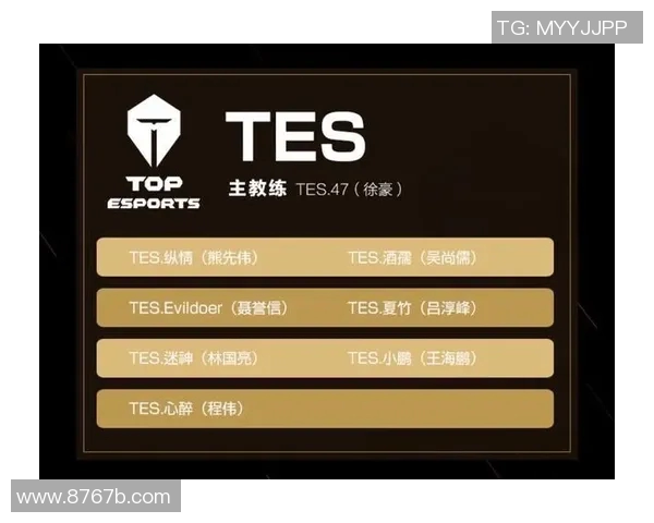 王者荣耀战术解析：深入剖析TES团队包夹策略与执行细节