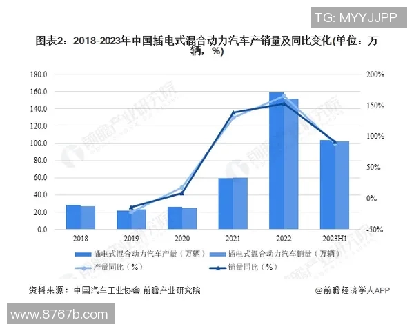 掸联与妙瓦底的对决分析及未来发展趋势探讨